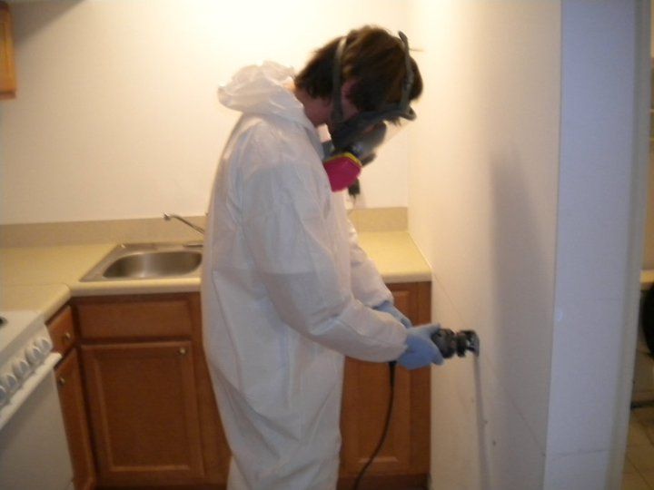 Cleaning and restoration services
