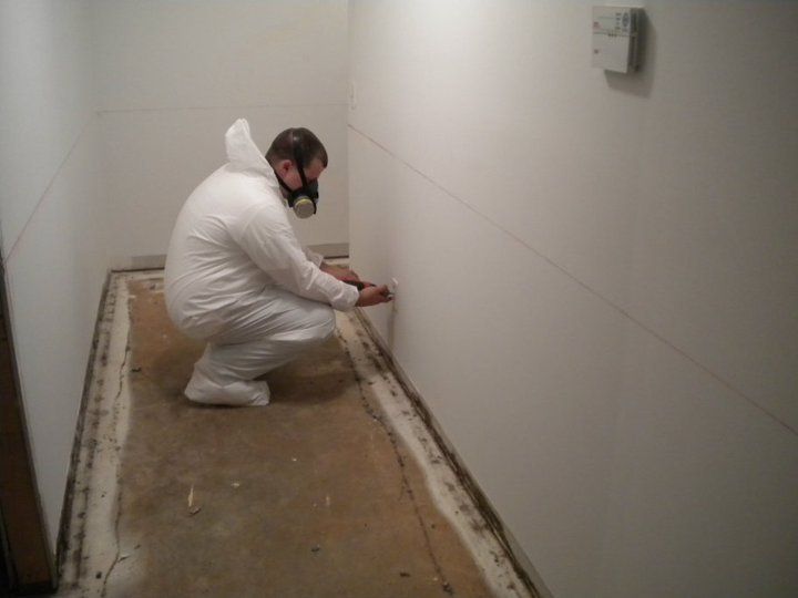 Mold remediation services