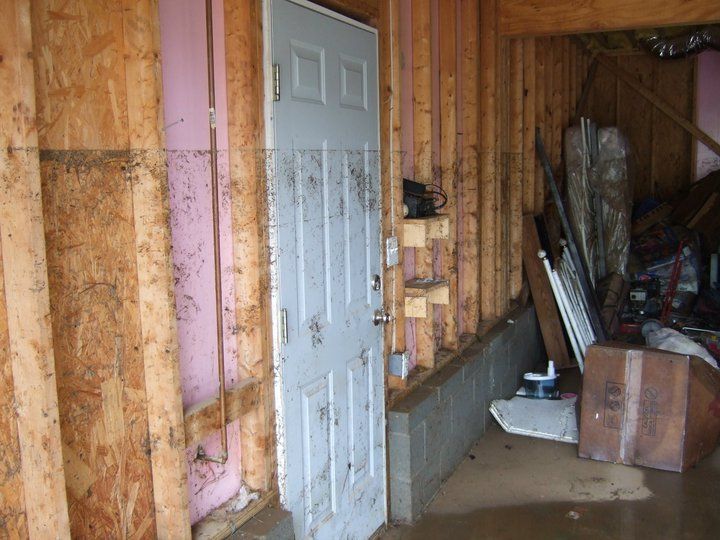 Mold remediation services