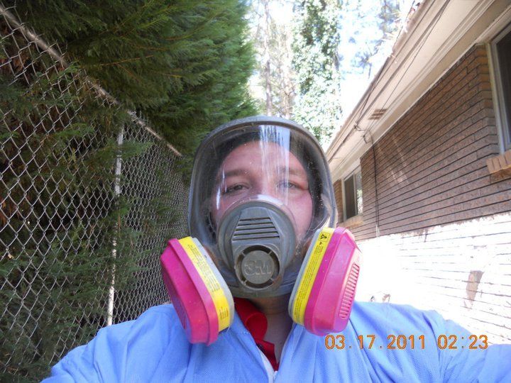 Cleaning and restoration services