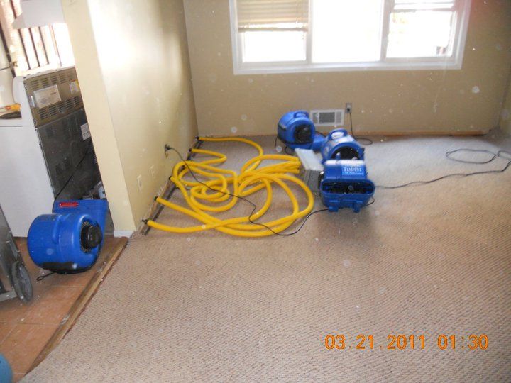 Cleaning and restoration services