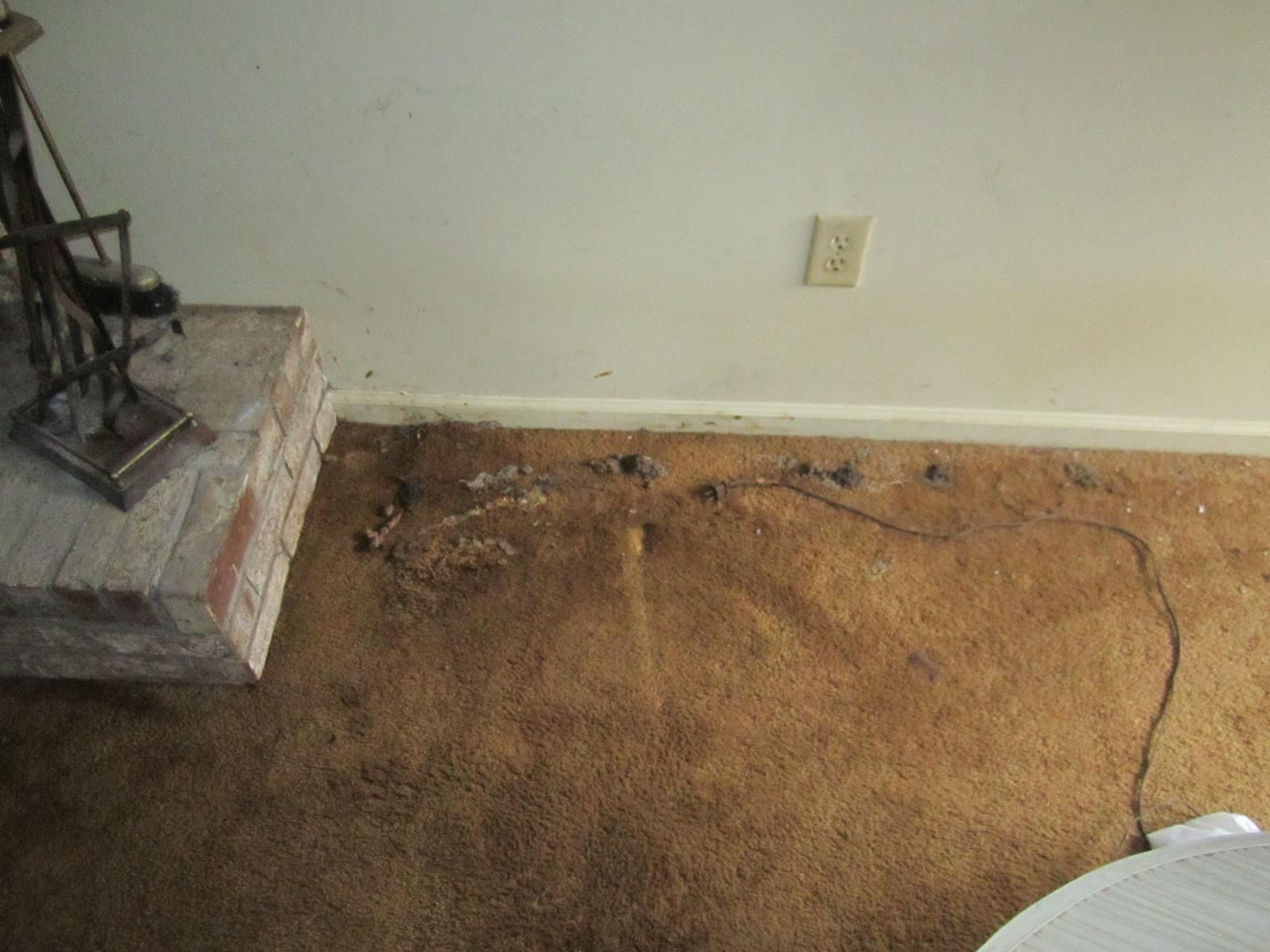 Cleaning and restoration services