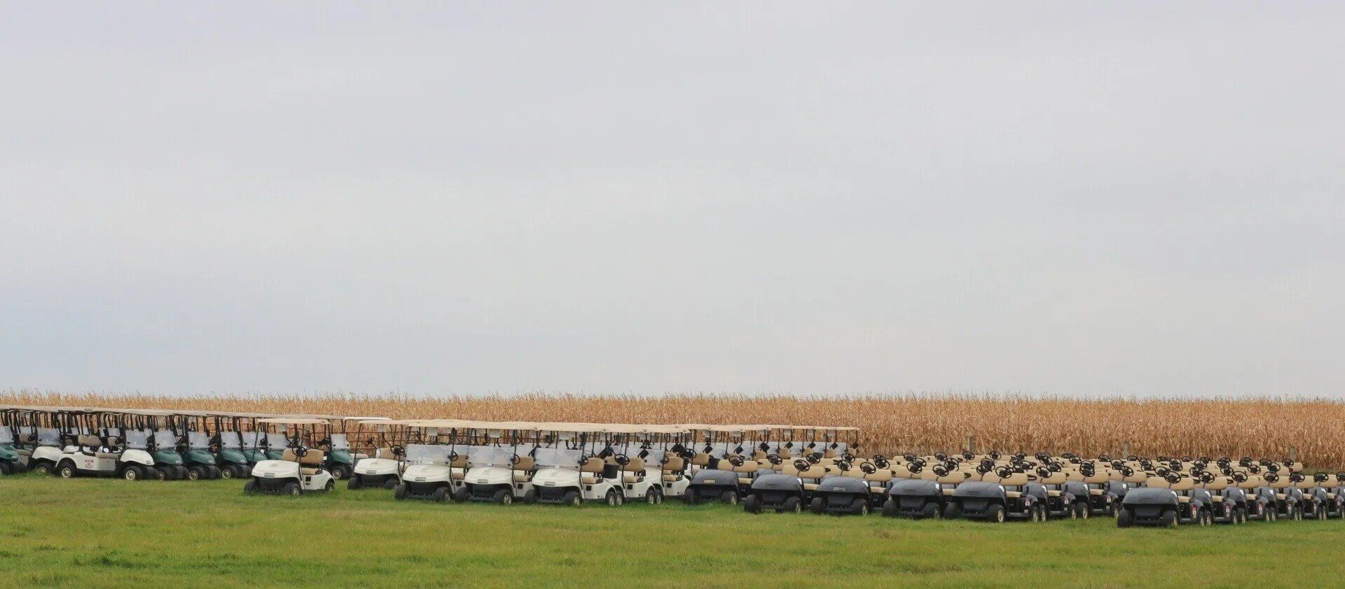 Used golf cars