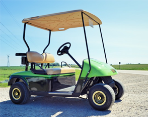 Model: E-Z-GO TXT