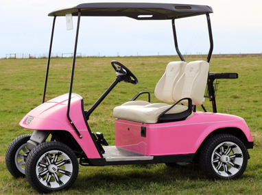 2012- E-Z-GO Electric