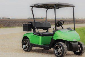Model: E-Z-GO RXV Freedom Elect