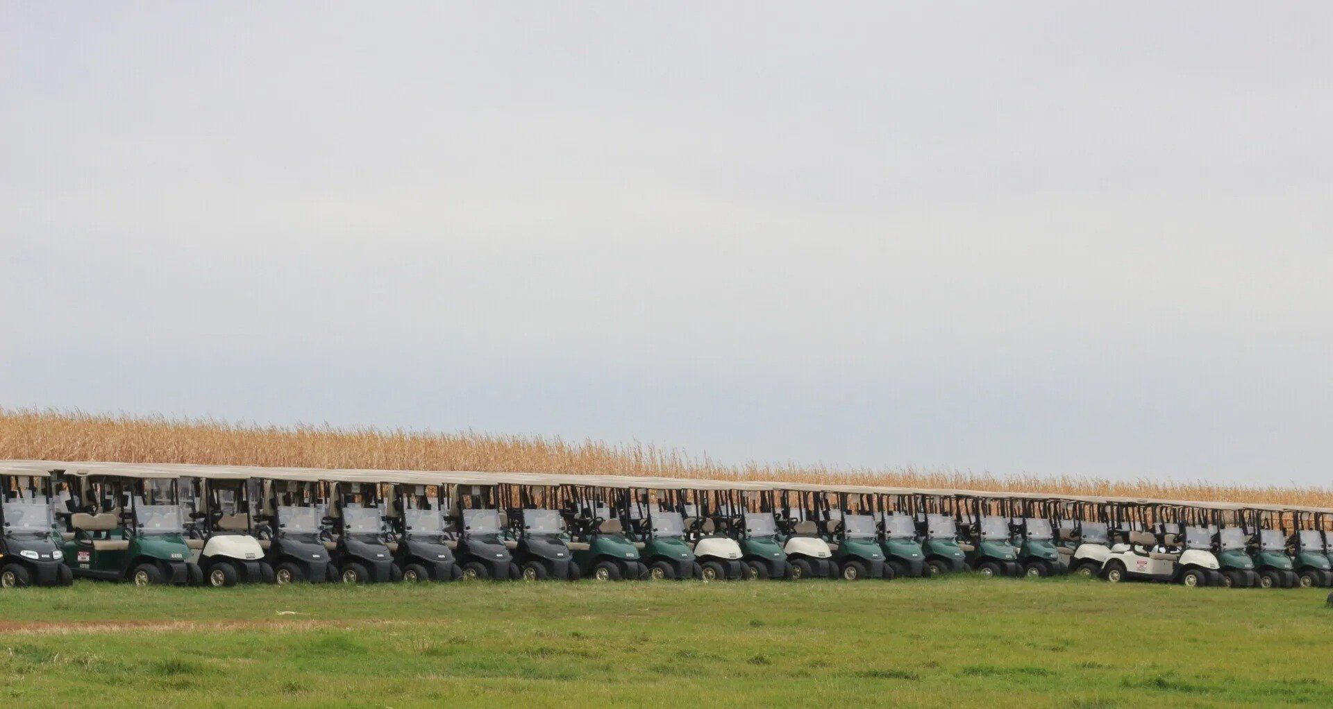 Used golf cars