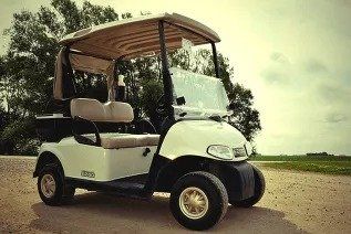 Model: RXV