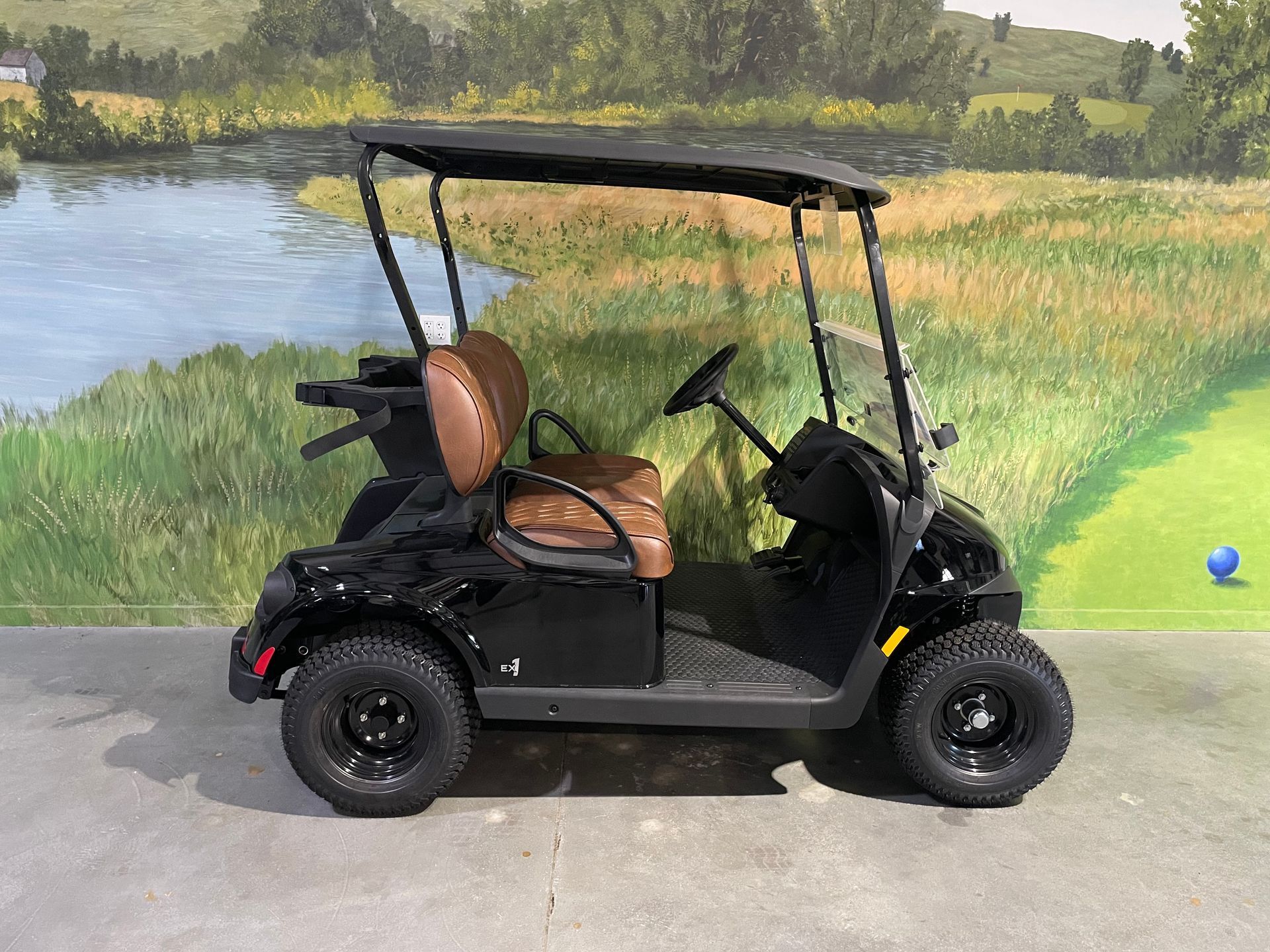 Black golf cart with brown seats, parked near a pond.