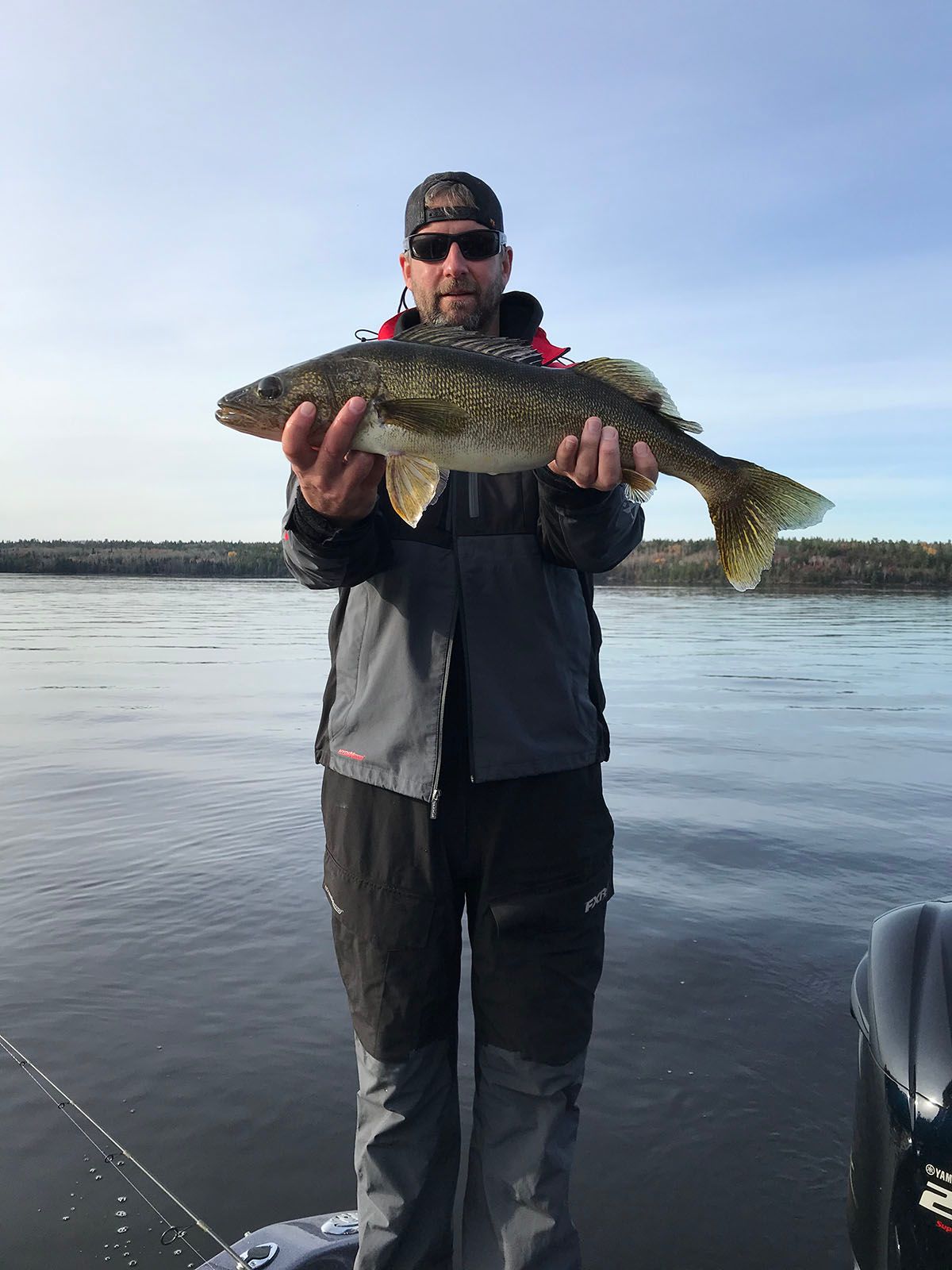 A man is standing on a boat holding a large walleye fish