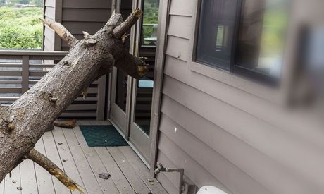 A tree fallen on the side of a house.