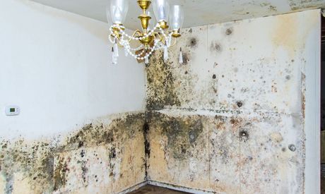 A room with mold on the walls and a chandelier hanging from the ceiling.