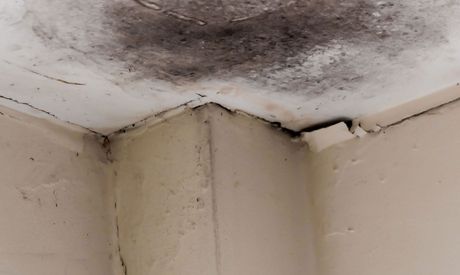 A corner of a room with mold on the ceiling and walls.