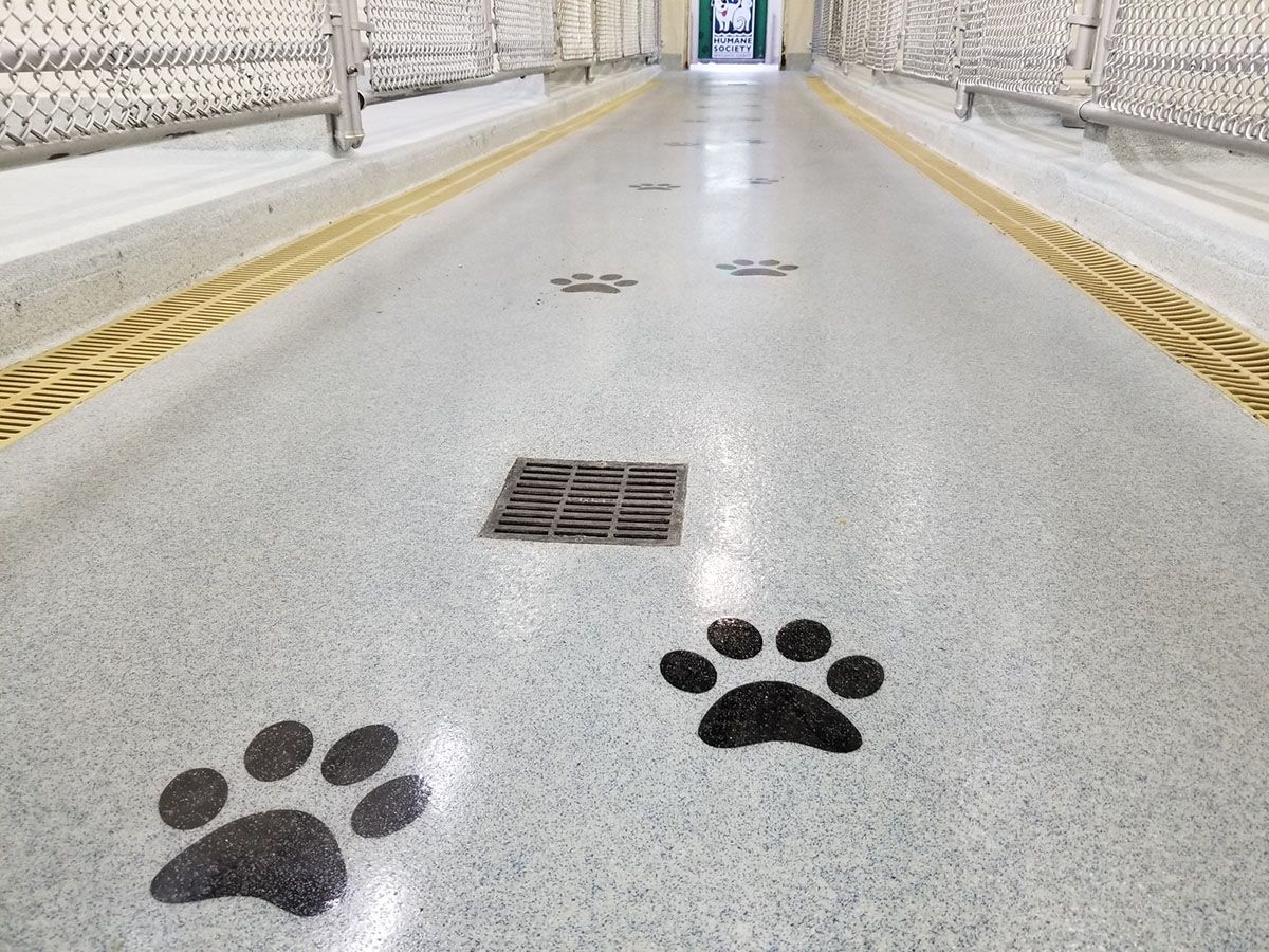A hallway with paw prints on the floor.