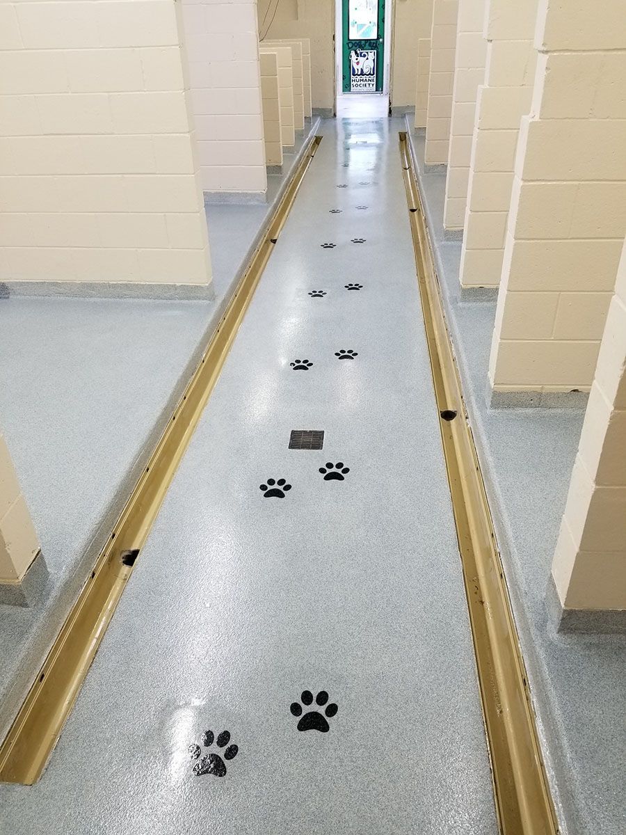 A long hallway with paw prints on the floor.