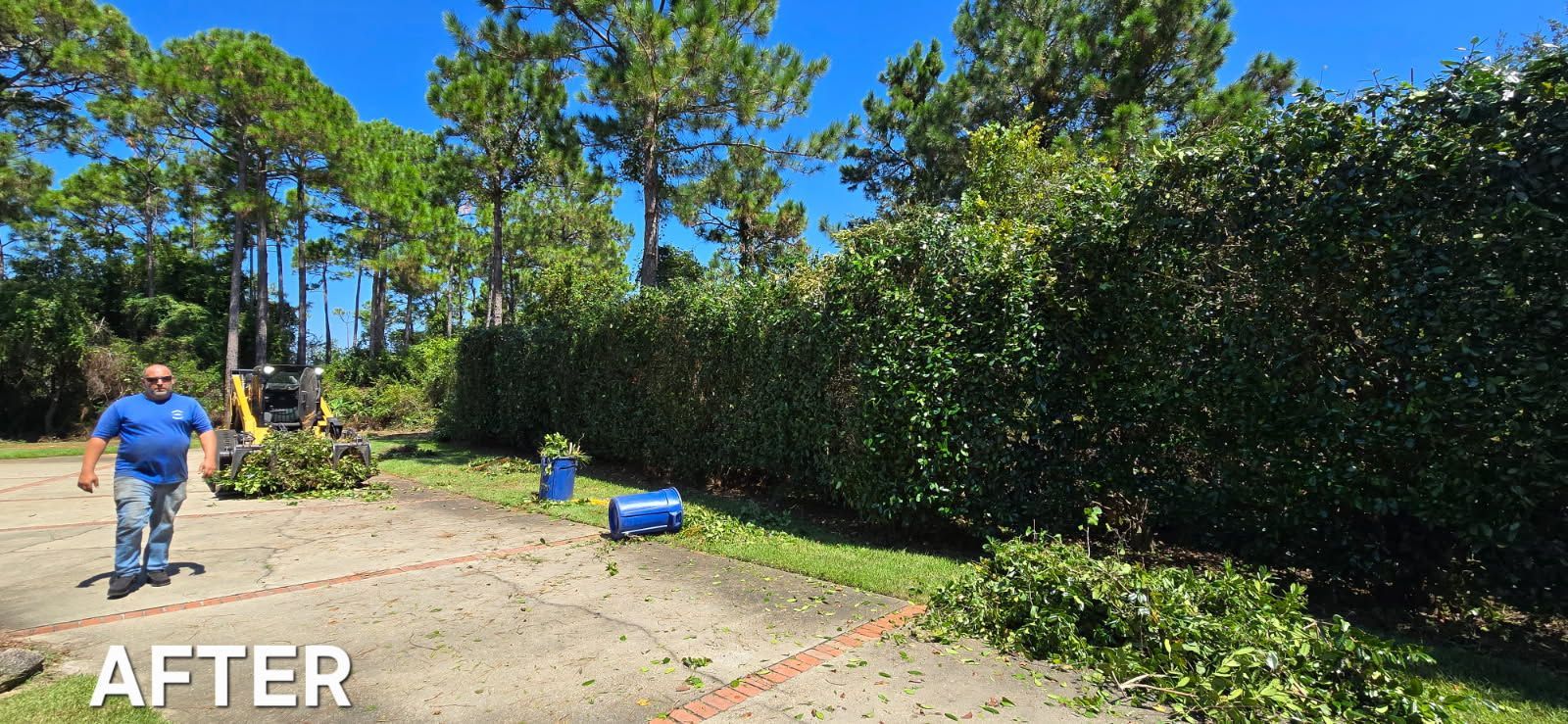A man walks towards the camera in a driveway next to a trimmed hedge. Blue sky and trees in the background.