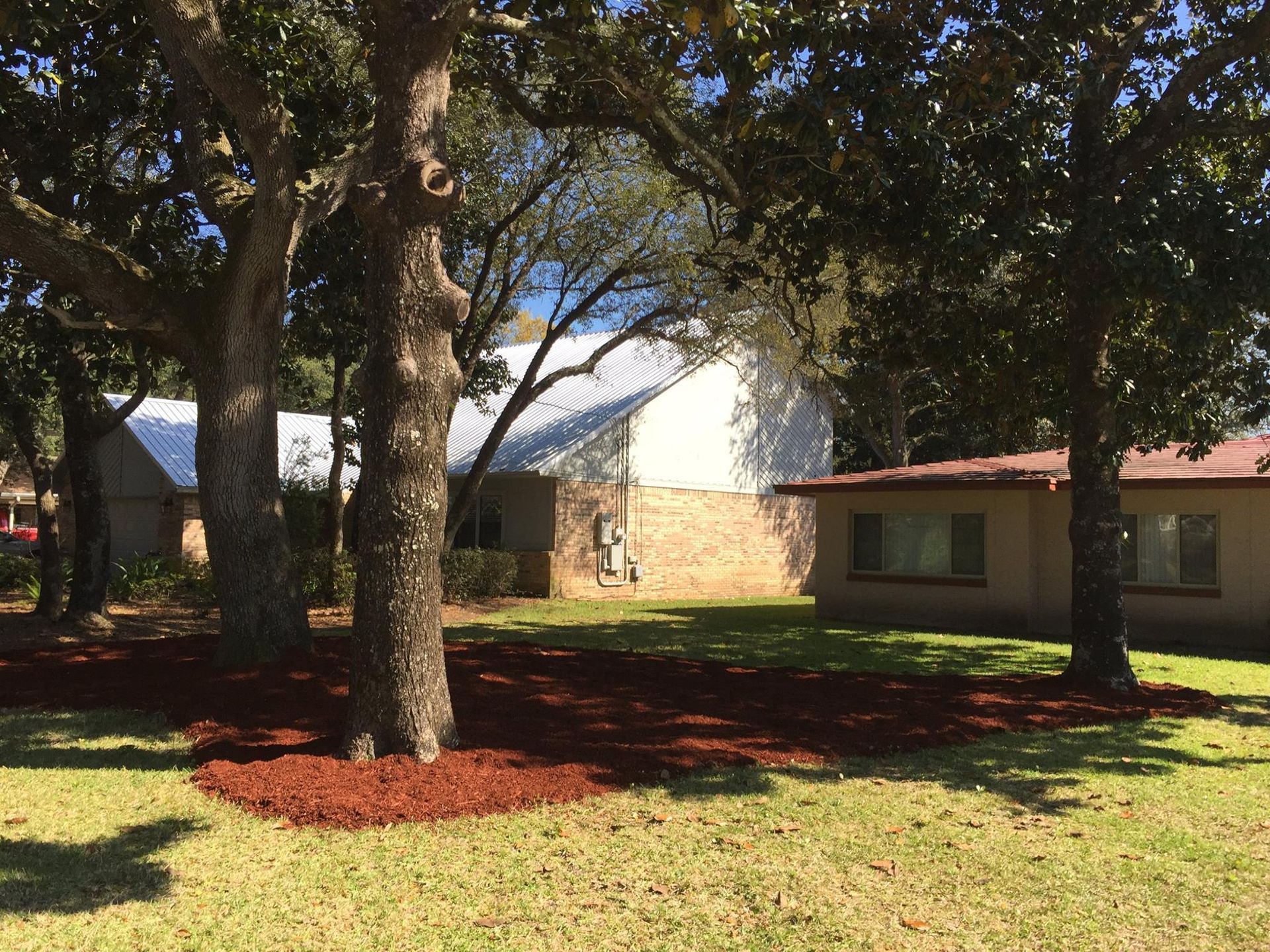 A house with a lot of trees in front of it