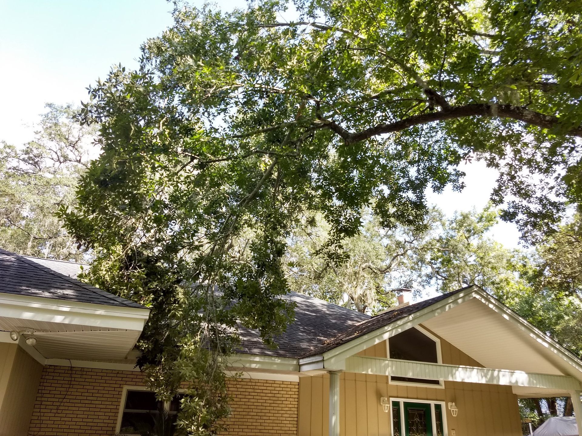 A house with a large tree in front of it.