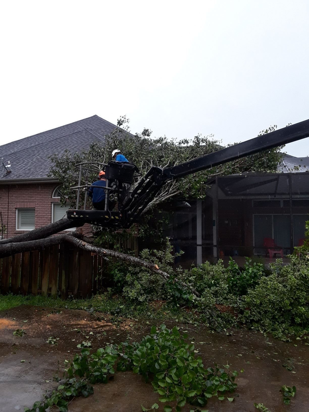 A crane is cutting a tree in front of a house.