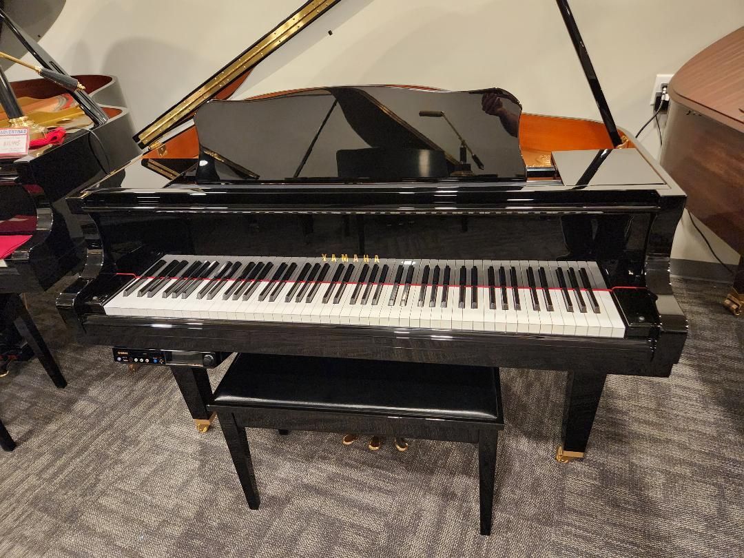 Black grand piano with matching bench in a carpeted room, with another piano in the background
