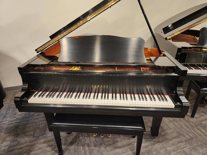 Black grand piano with matching bench in a carpeted showroom