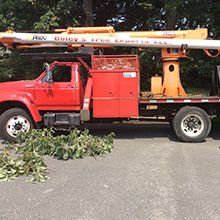 Boley's Tree & Shrub Removal crane service.