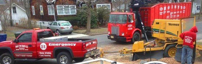 Boley's Tree & Shrub Removal service trucks.