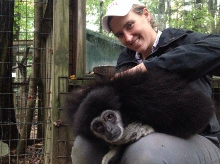 DeNaples Equine photo gallery