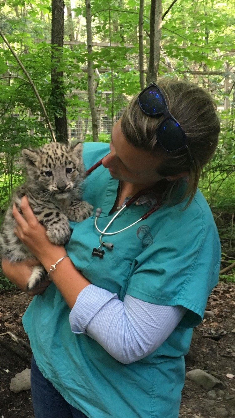 DeNaples Equine photo gallery