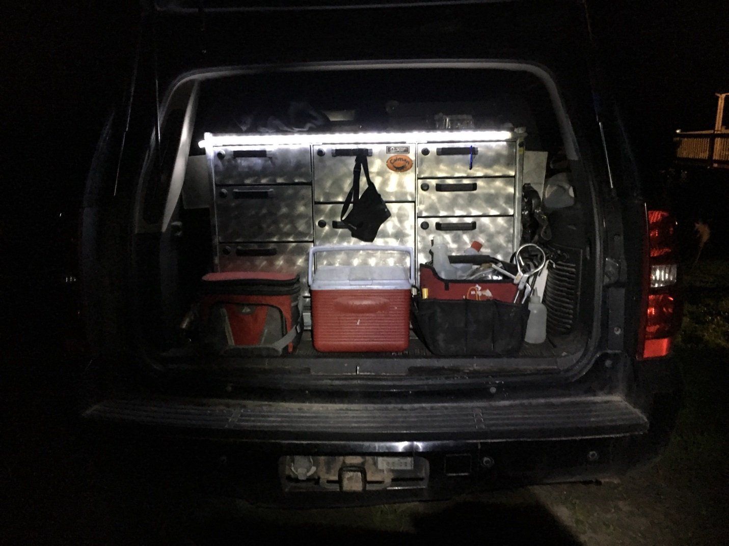 DeNaples Equine photo gallery