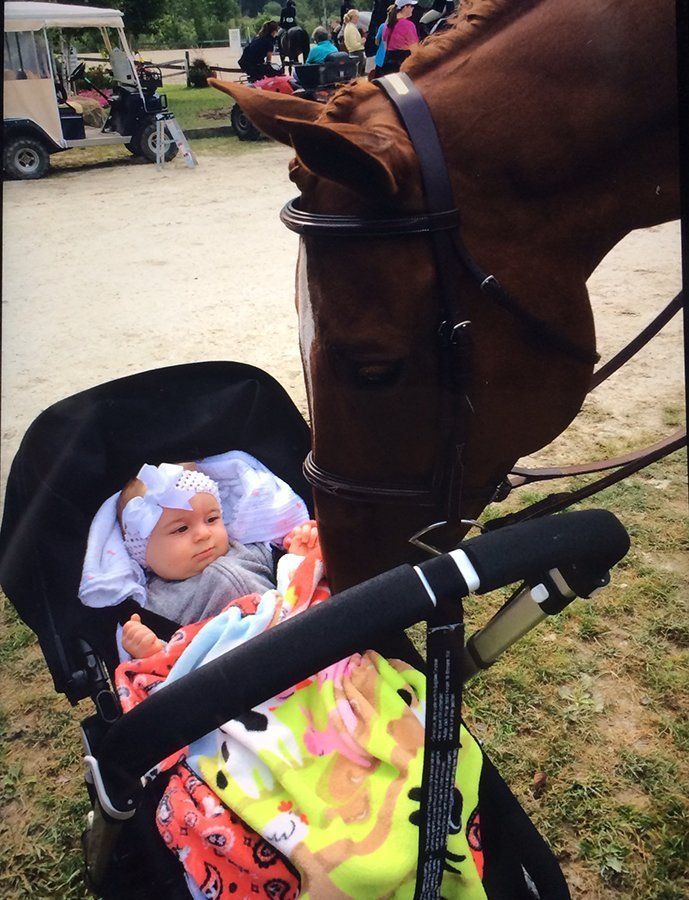 DeNaples Equine photo gallery