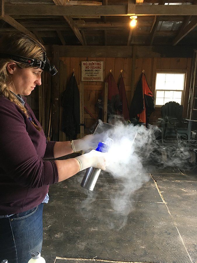 DeNaples Equine photo gallery