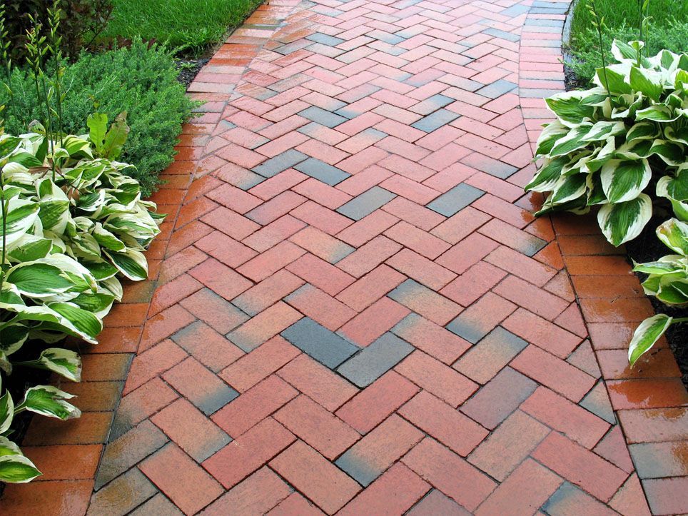 Brick garden path bordered by green-and-white plants and shrubs