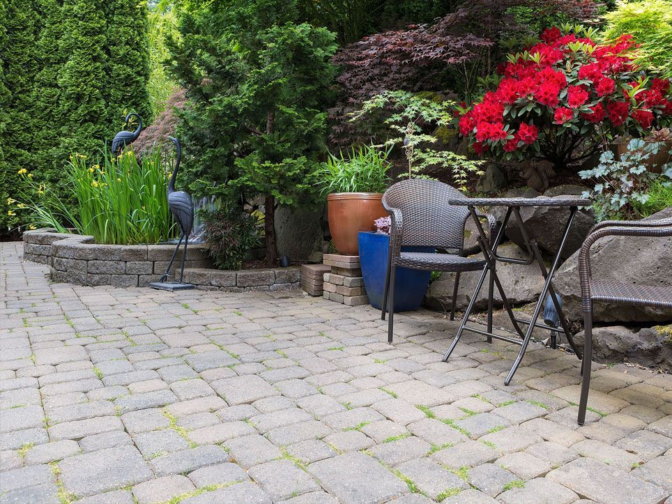 Patio garden with stone pavers, table and chairs, potted plants, and bright red flowers by a hedge