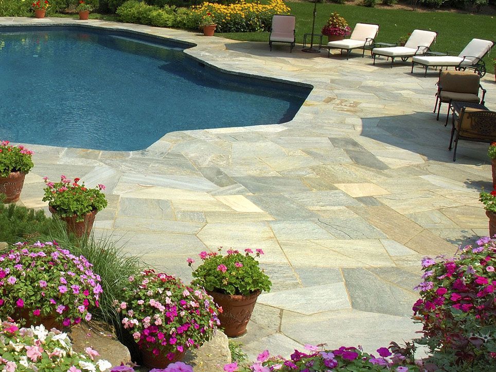 Backyard pool with stone patio, lounge chairs, and blooming potted flowers