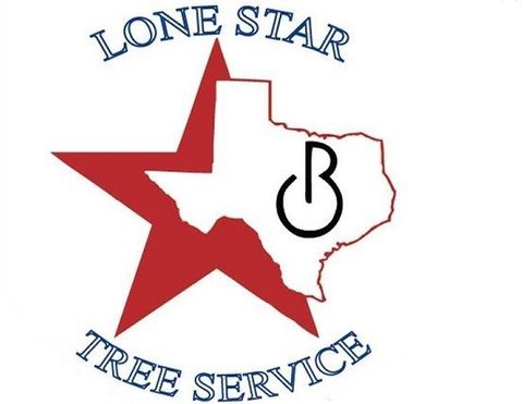 Olvera Lone Star Tree Service - logo