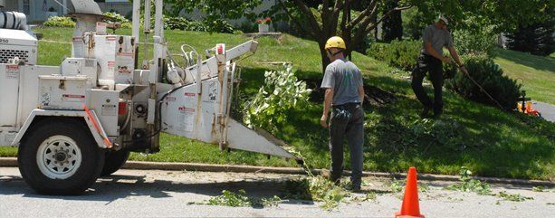 Lot Clearing