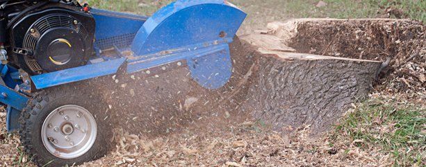 Stump grinding