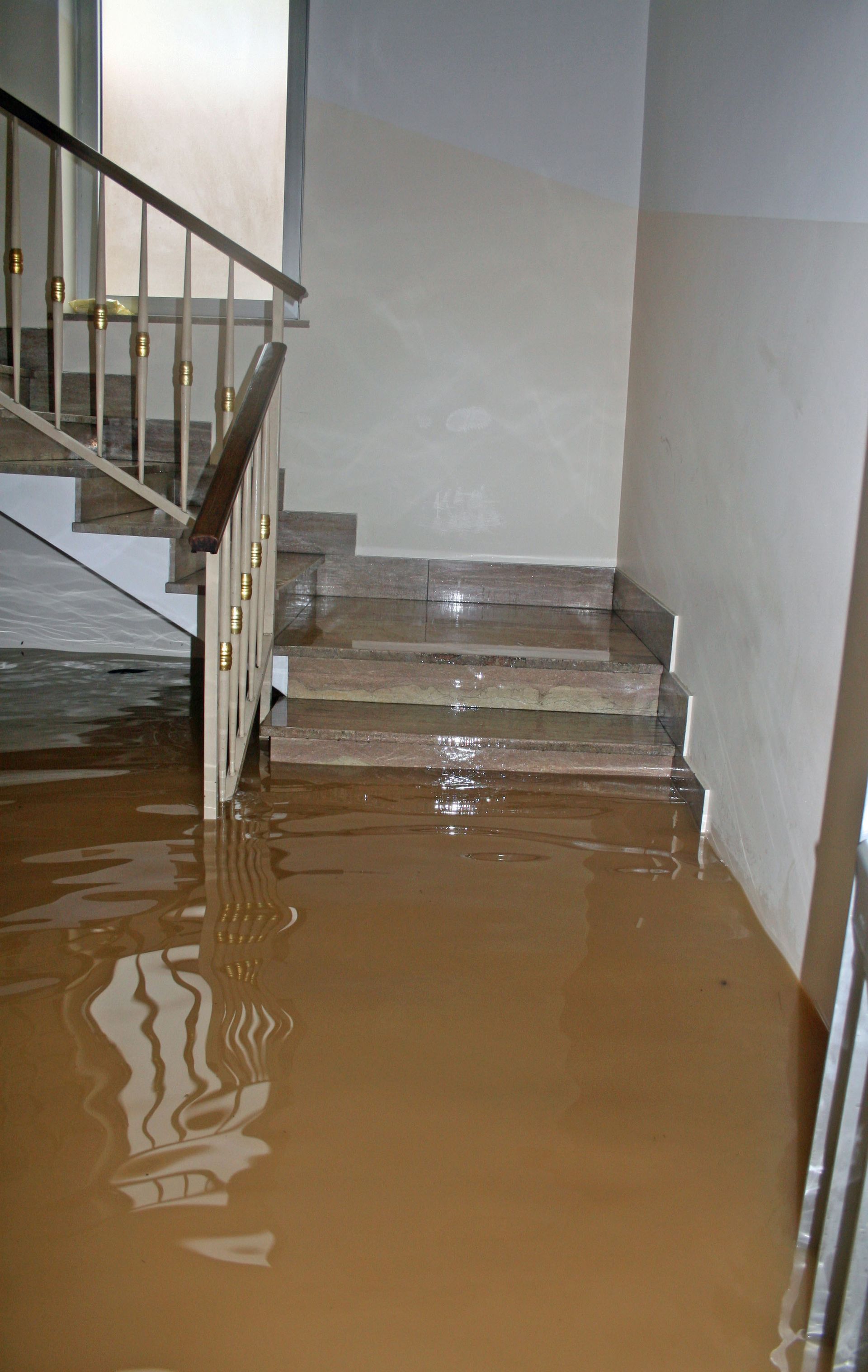 Safety Measures Your Local Flood Damage Companies Prioritize