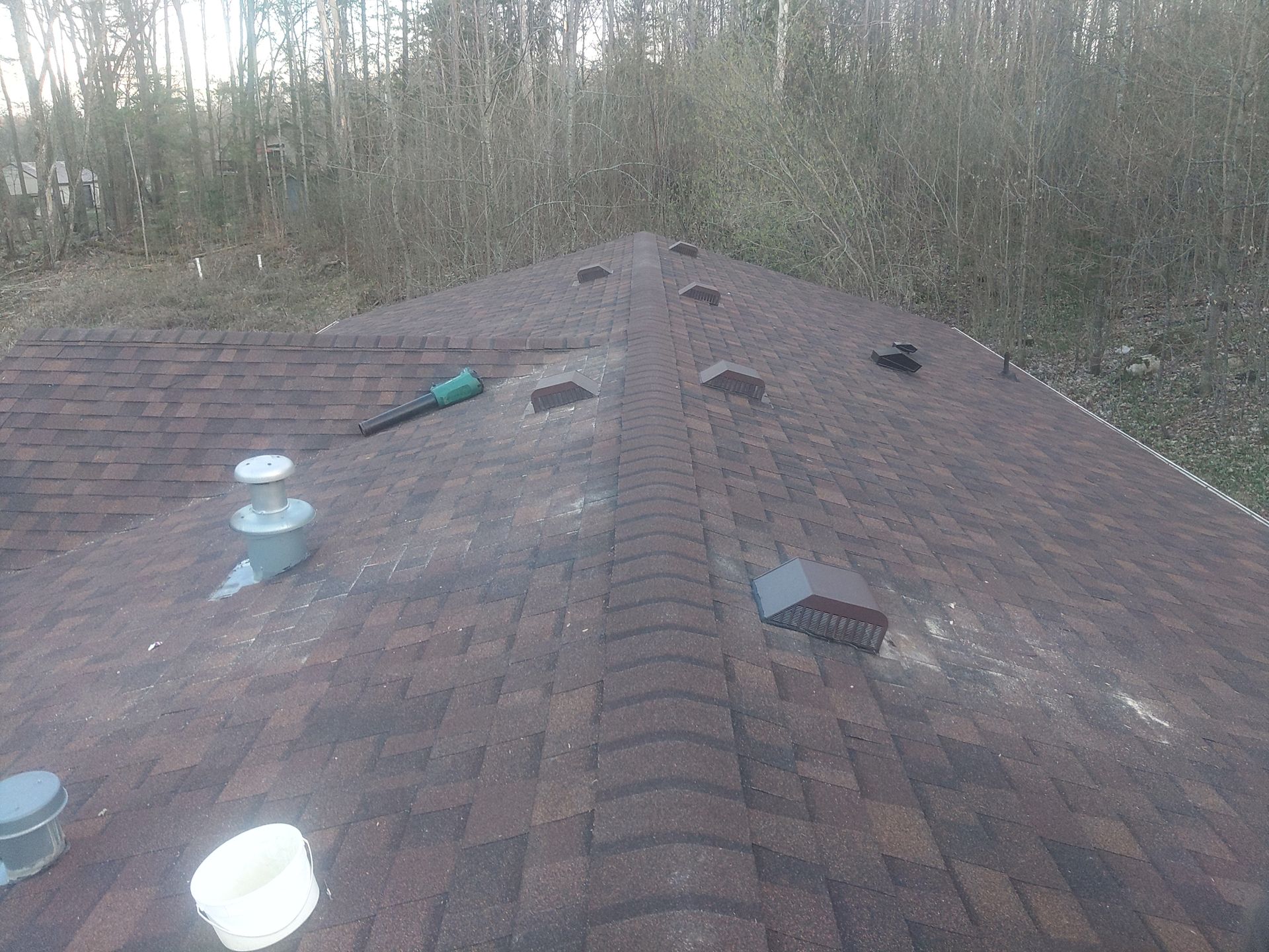 A brown shingle roof with several vents and some debris; trees in the background.