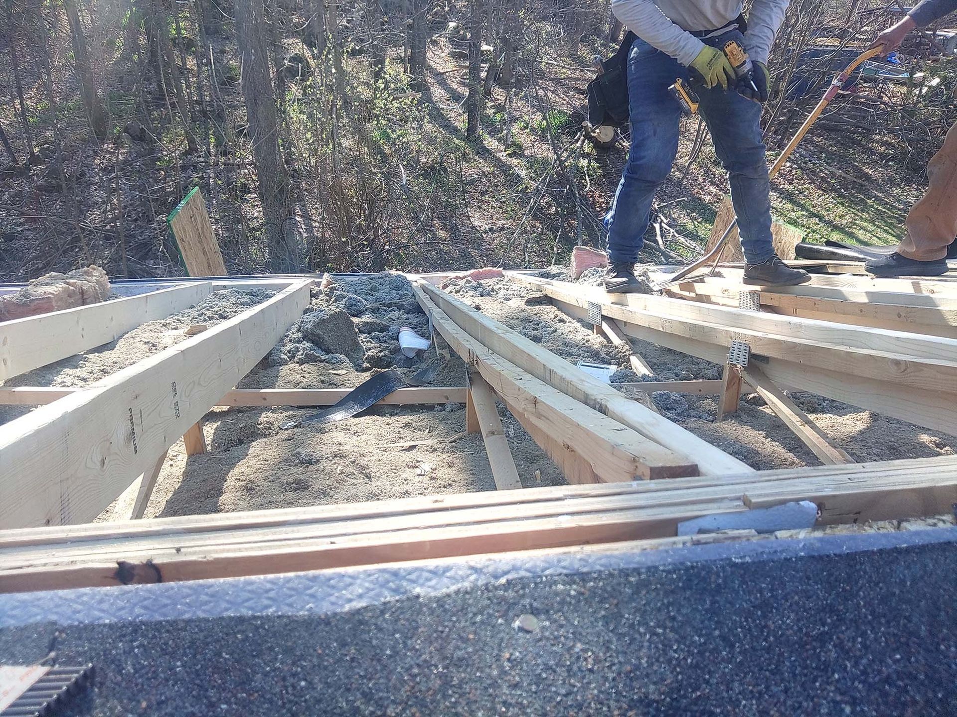 Construction workers on a roof, installing wooden beams. A blue bird sits among the construction debris.
