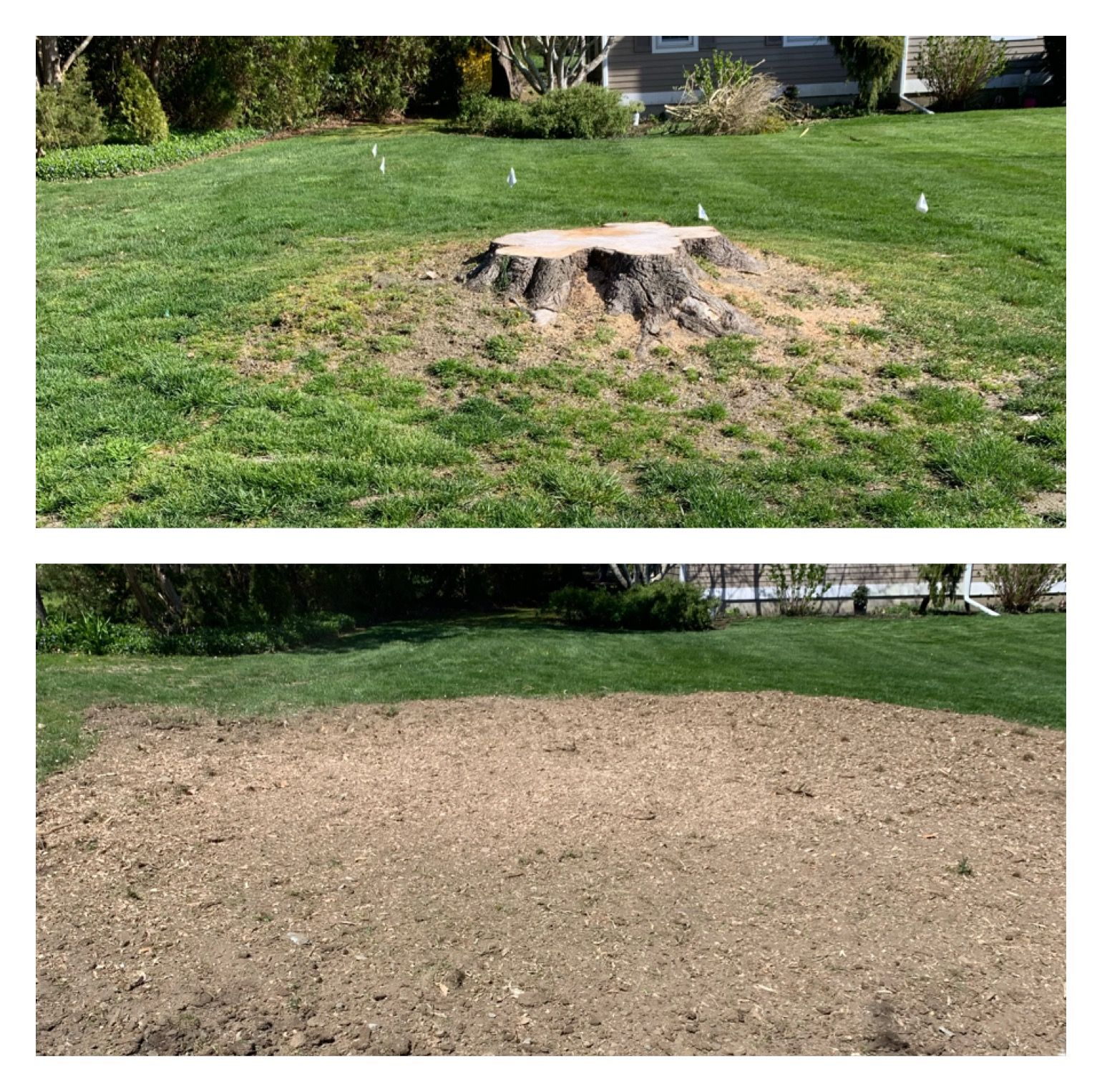 A before and after picture of a tree stump in a yard.