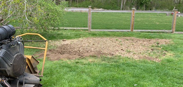 Taproot Stump Grinding After
