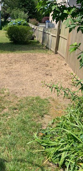 Taproot Stump Grinding After