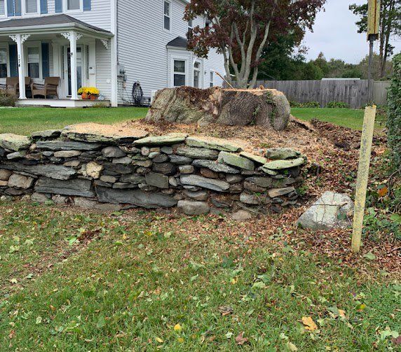 Taproot Stump Grinding Before