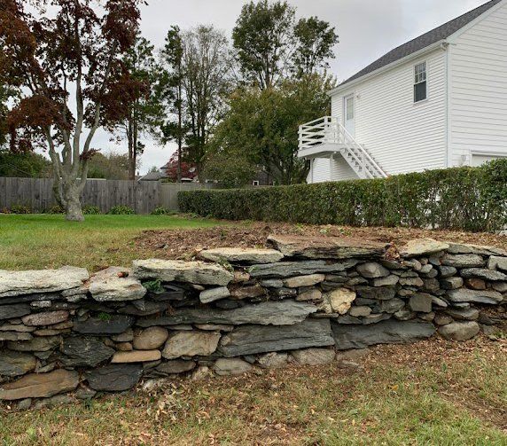 Taproot Stump Grinding After
