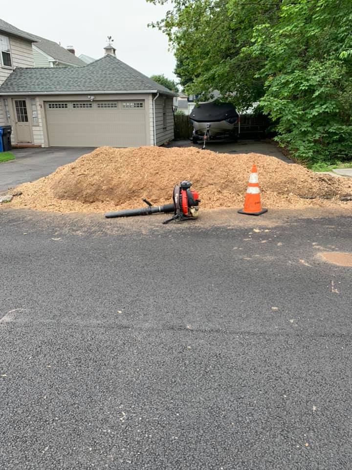 Taproot Stump Grinding Work