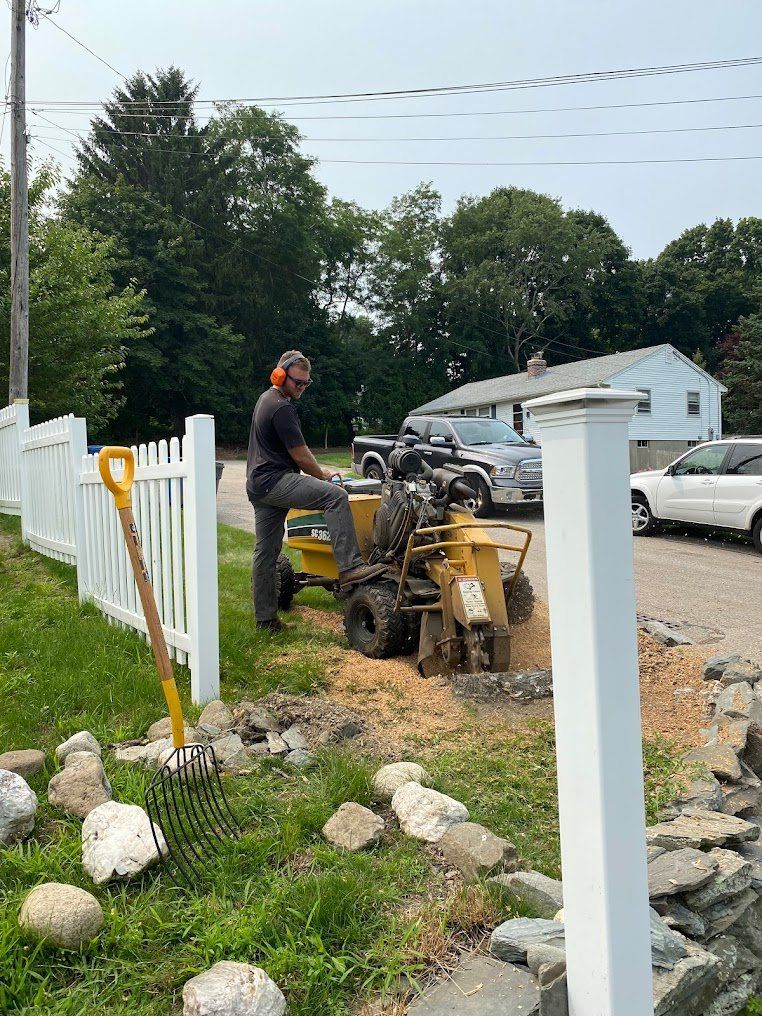 Taproot Stump Grinding Work
