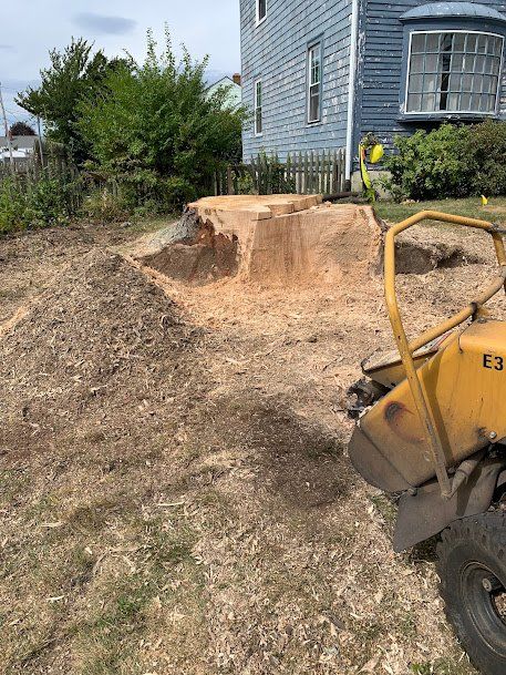 Stump Removal