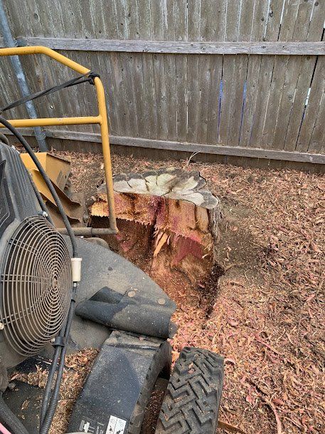 Stump Grinding
